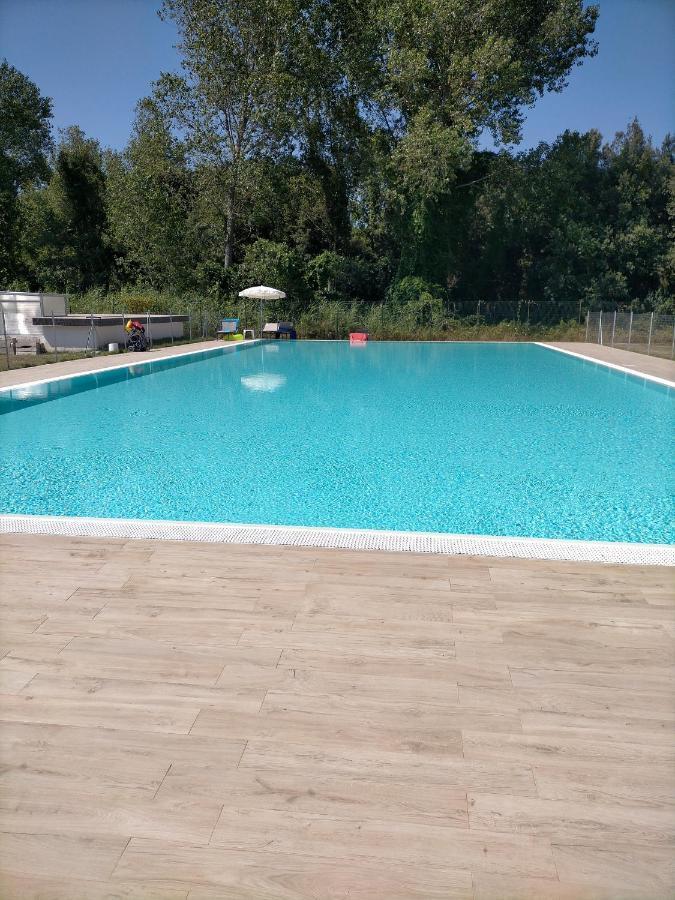 Seaside Flat With Swimming Pool And Private Parking Apartment Calambrone Exterior foto